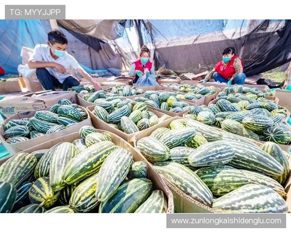 尊龙网站人生就是博：不断学习和成长让人生的棋盘更加宽广和精彩
