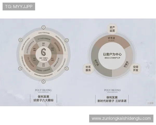 尊龙这个平台适合哪些人群？行业分析与建议