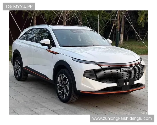 尊龙z6官网技术支持与售后服务保障尊龙z6用户的购车体验