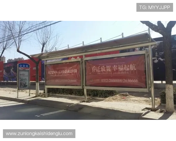 D88尊龙app官方正版下载安装指南，详细步骤与常见问题解决方案推荐