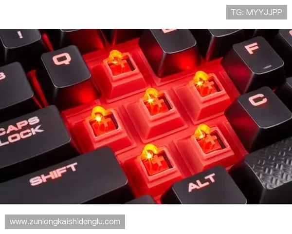 如何在d88尊龙平台官网中进行有效的游戏策略，提升胜率与收益