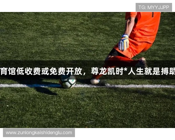 尊龙凯时人生就是搏 官网带你领略最真实的游戏体验与精彩赛事分析